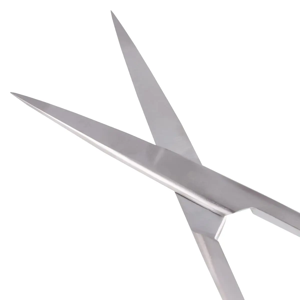  Surgical scissors pointed/pointed
