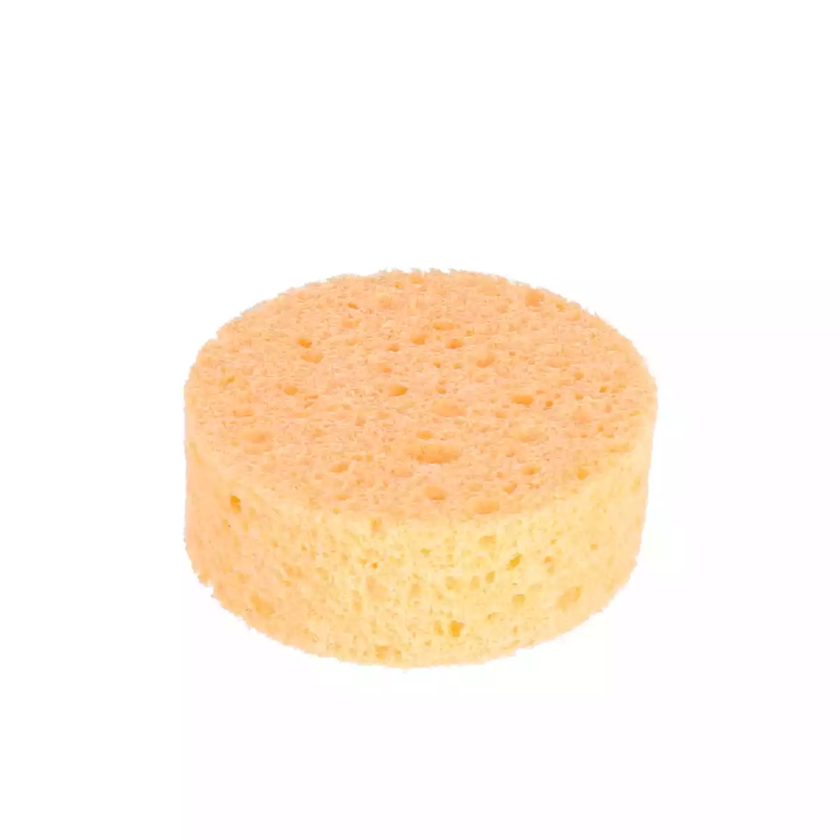  Electrode sponge