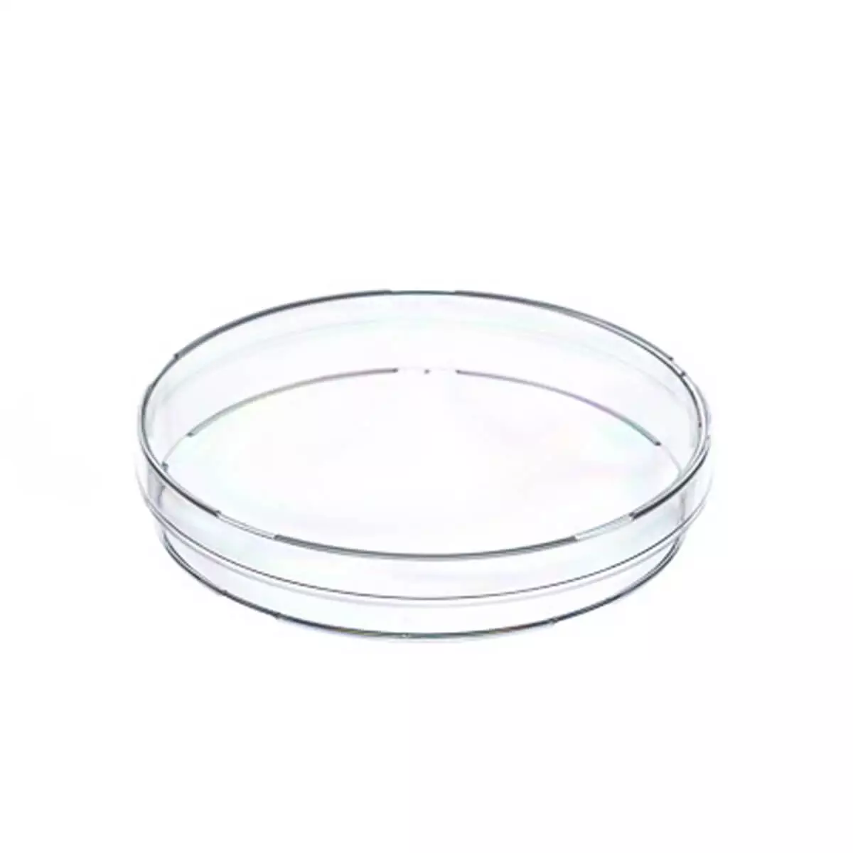  Disposable Petri Dish