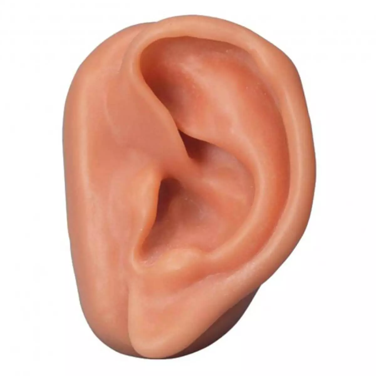  Acupuncture-Ear
