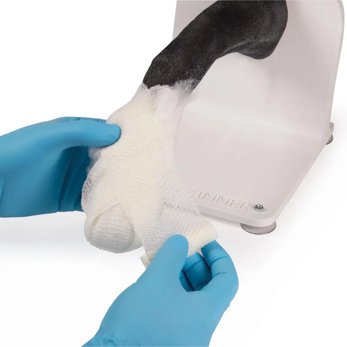 Bandaging trainer – dog paw Bandaging trainer – dog paw
