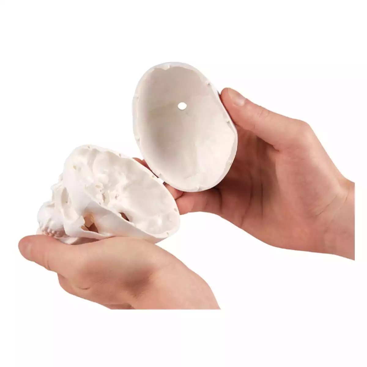  Miniature skull with tripod
