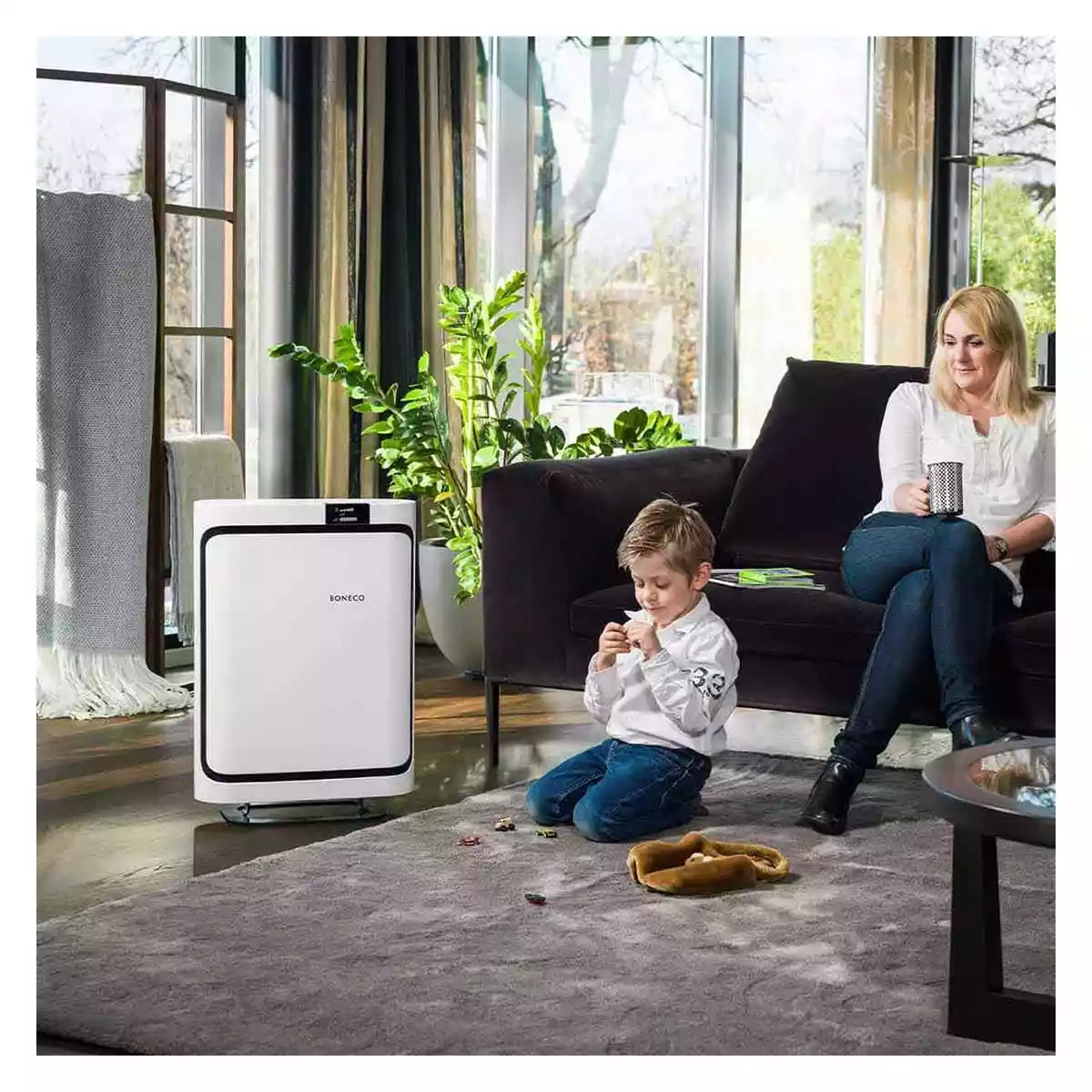 Air purifier P500