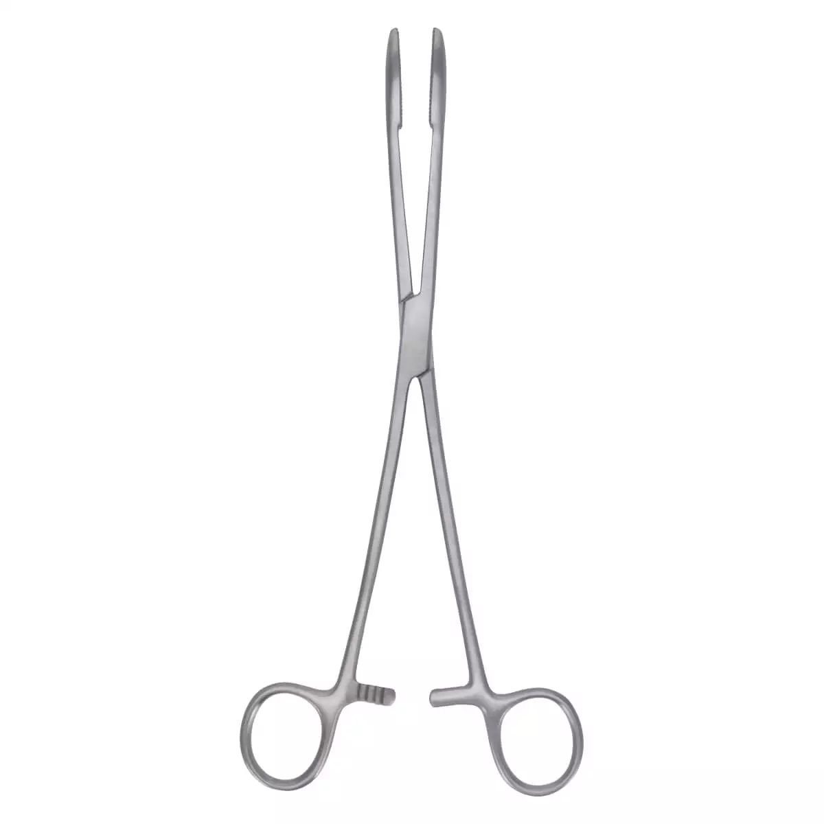  Polypus Forceps