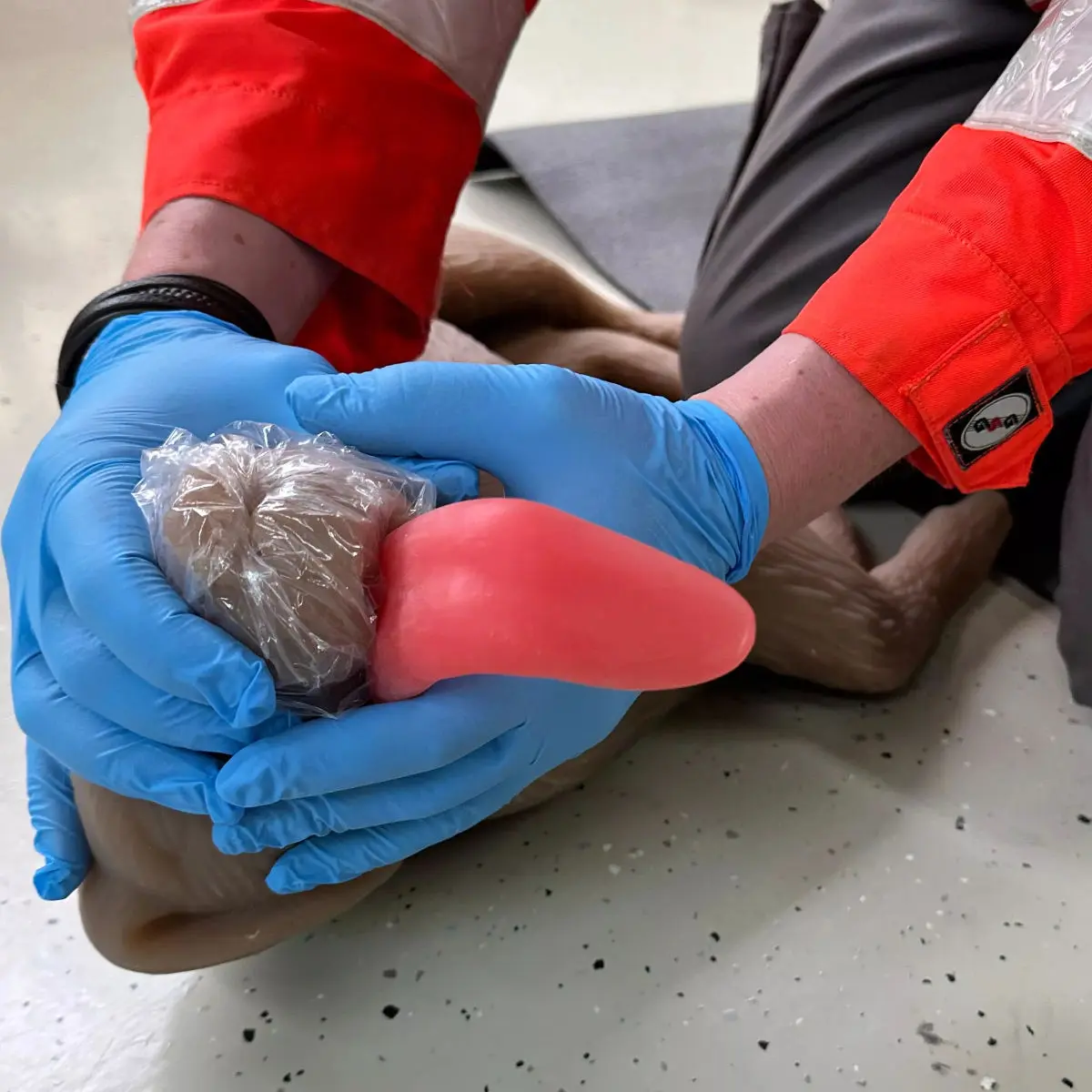  “CooPeR” canine CPR training manikin