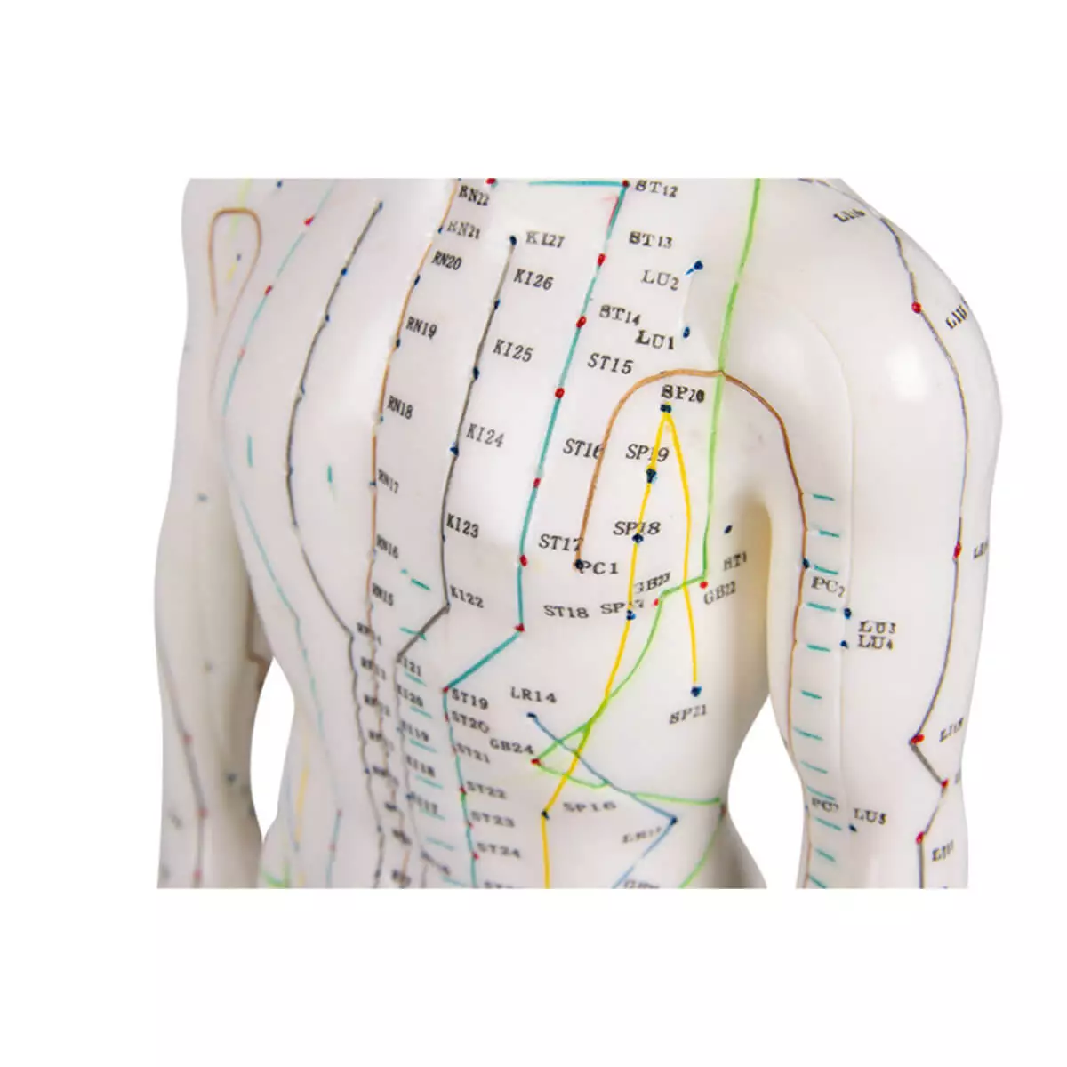  Acupuncture figure