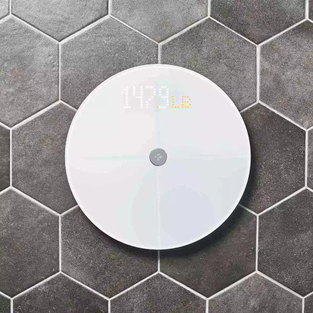  MyScale Personal scale