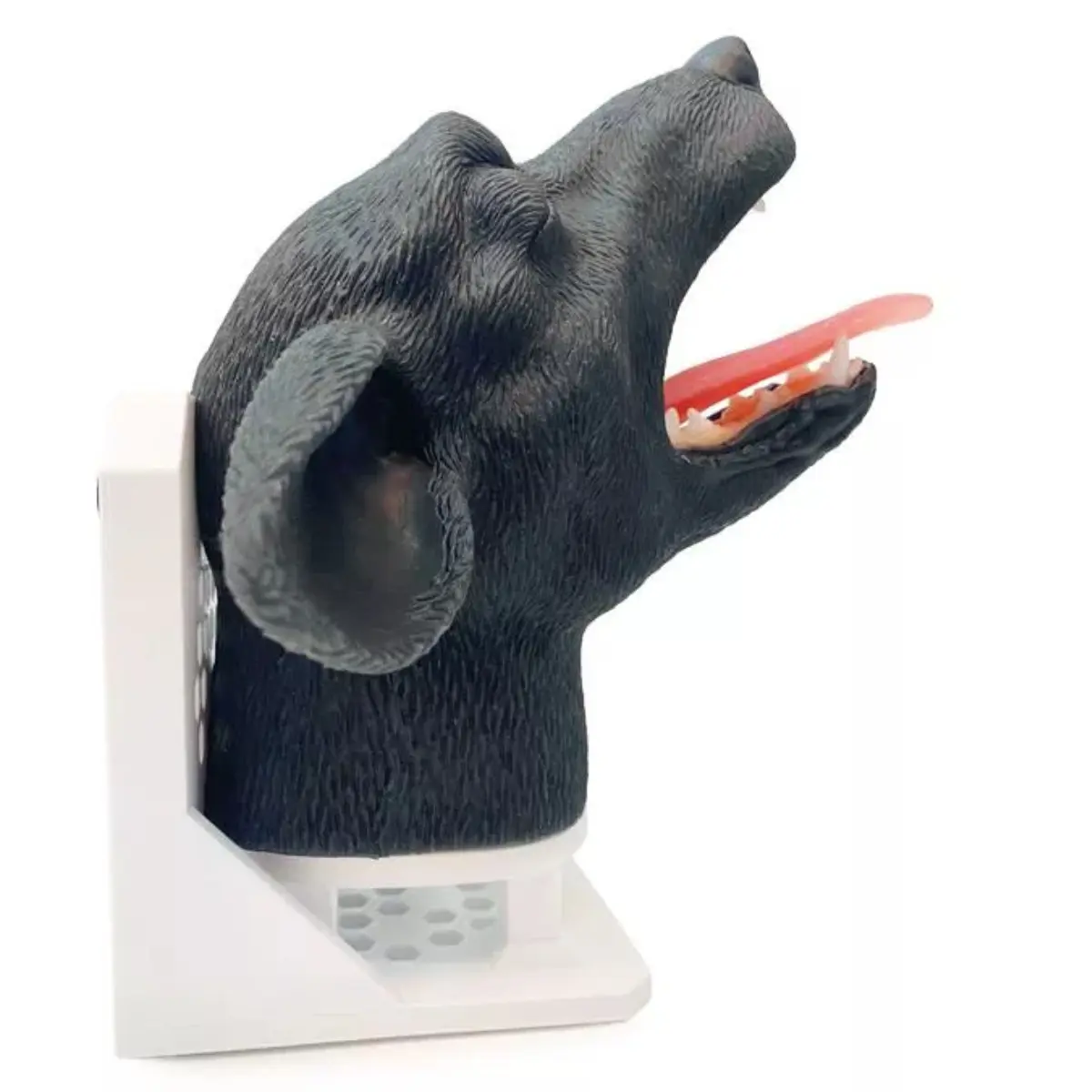  Intubation practicing head – dog