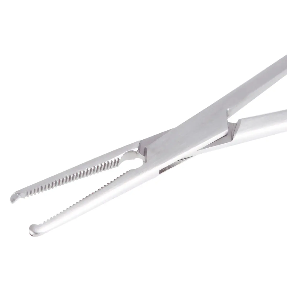 Mosquito forceps Mosquito forceps