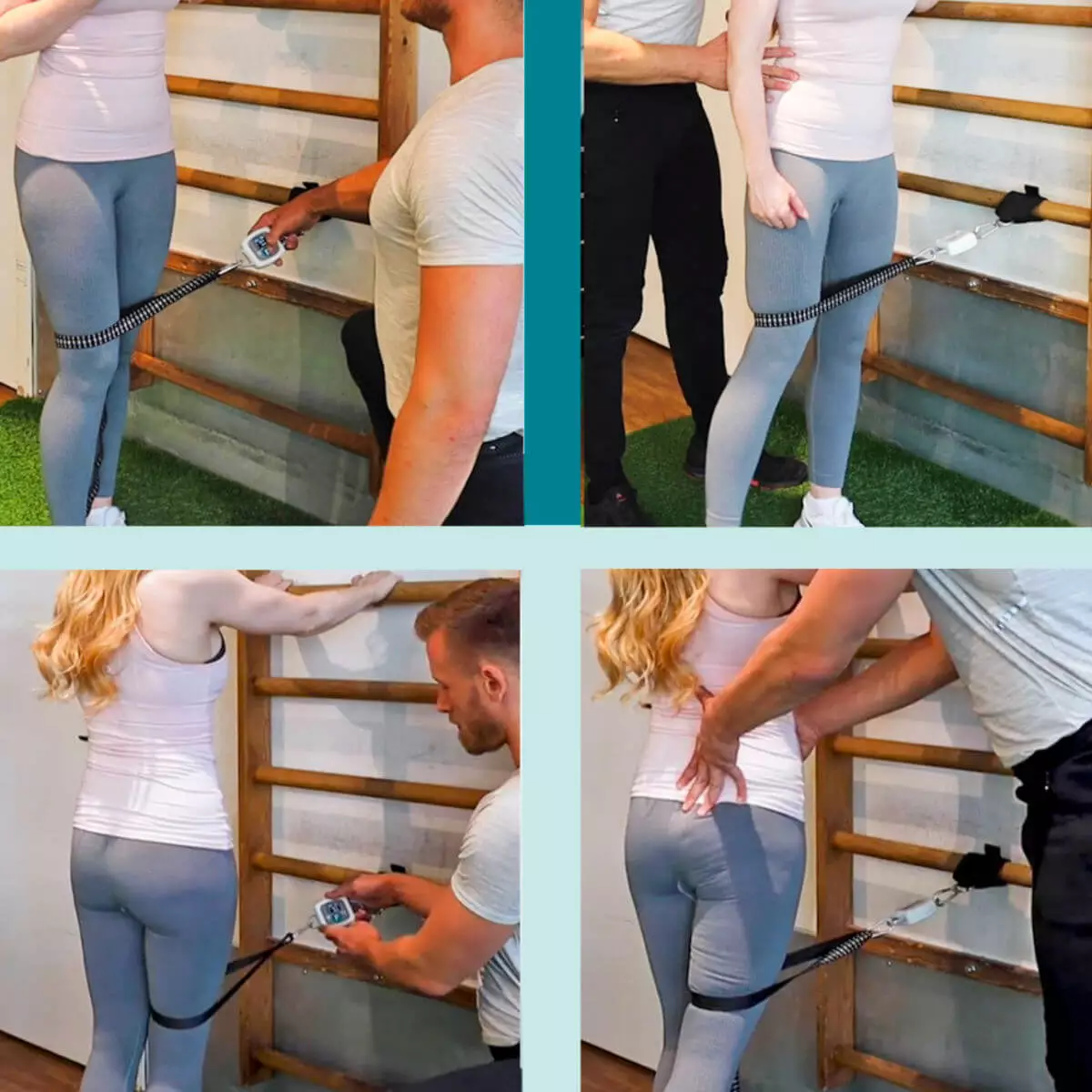  EasyForce accessory pack for the digital dynamometer