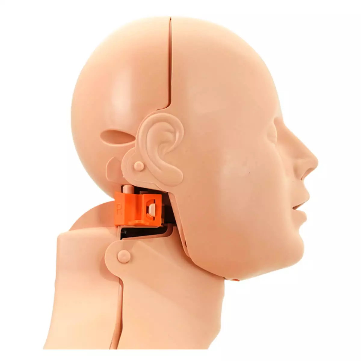  Pract-Woman 2-in-1 reanimation training dummy