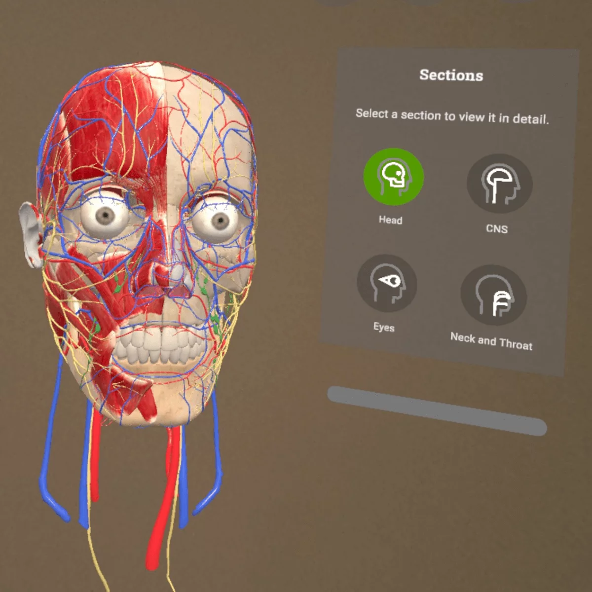 “Corpus” mixed reality anatomy app for Meta Quest 3/3S “Corpus” mixed reality anatomy app for Meta Quest 3/3S