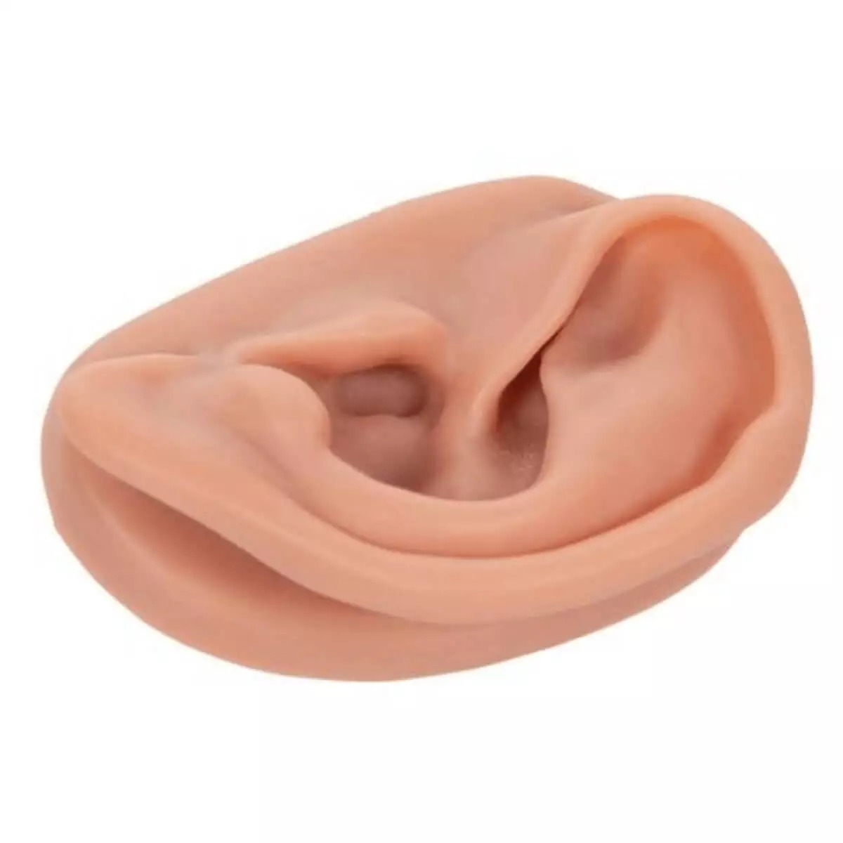  Acupuncture-Ear