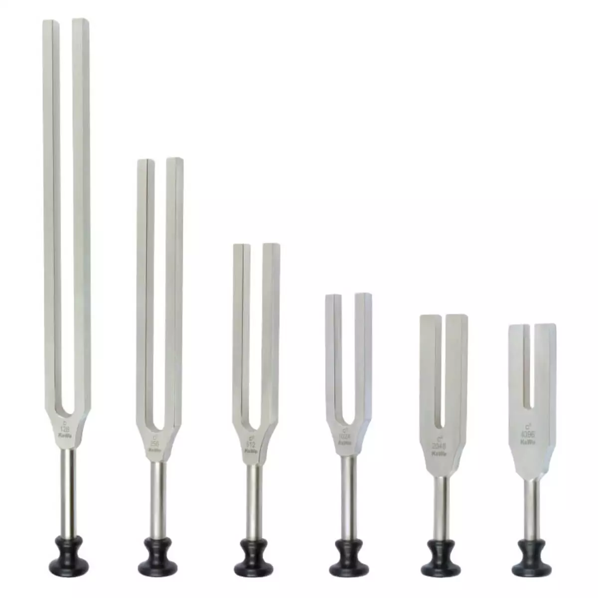  Lucae tuning fork