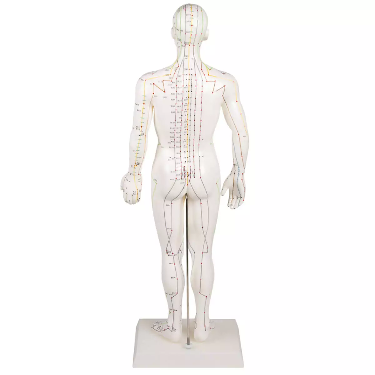  Acupuncture figure