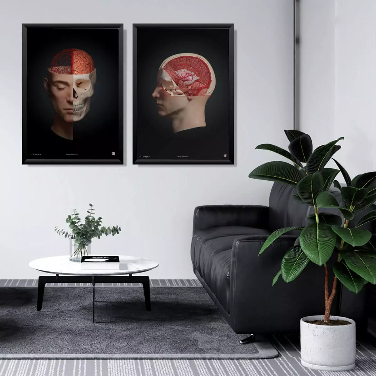  AnatomyARt Tabula Anatomica II