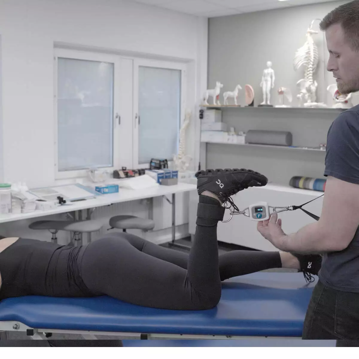 EasyForce – Digital Dynamometer