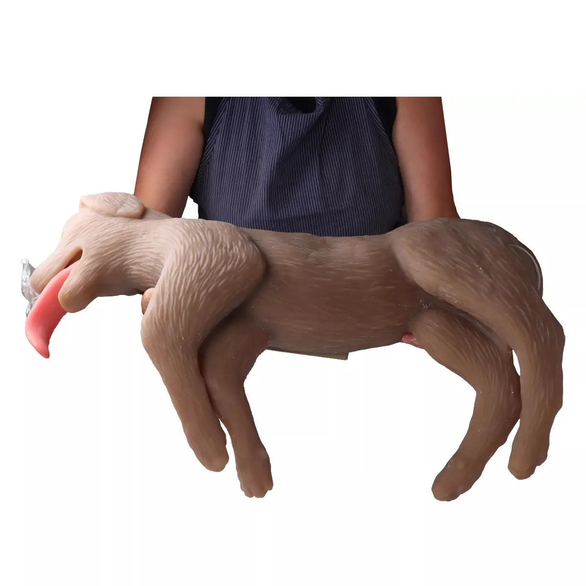  “CooPeR” canine CPR training manikin