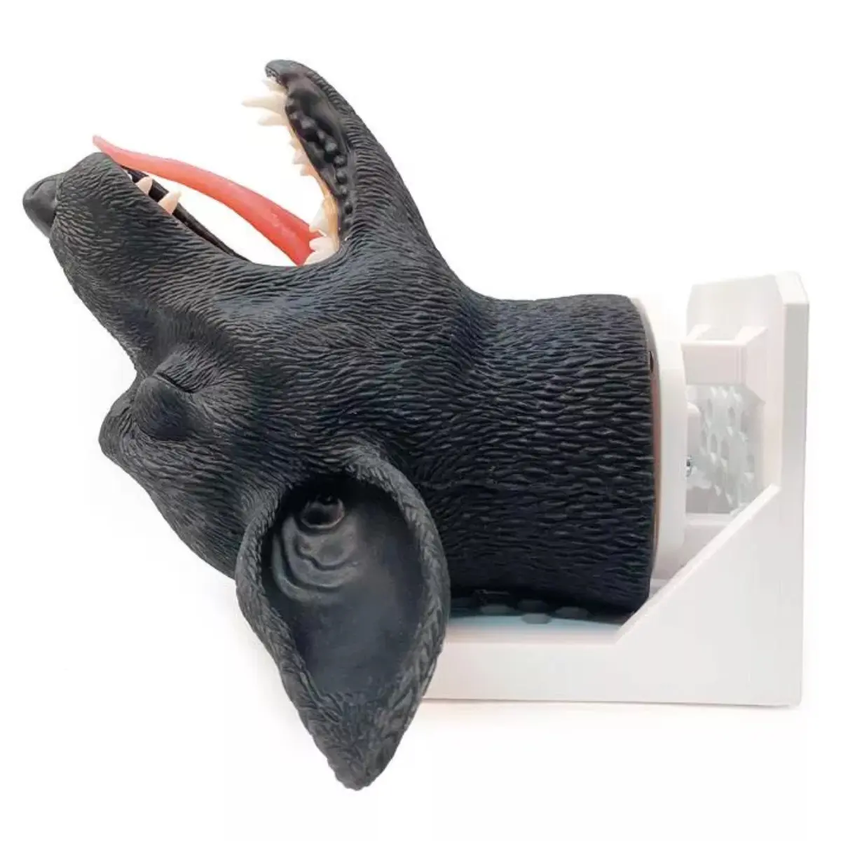 Intubation practicing head – dog