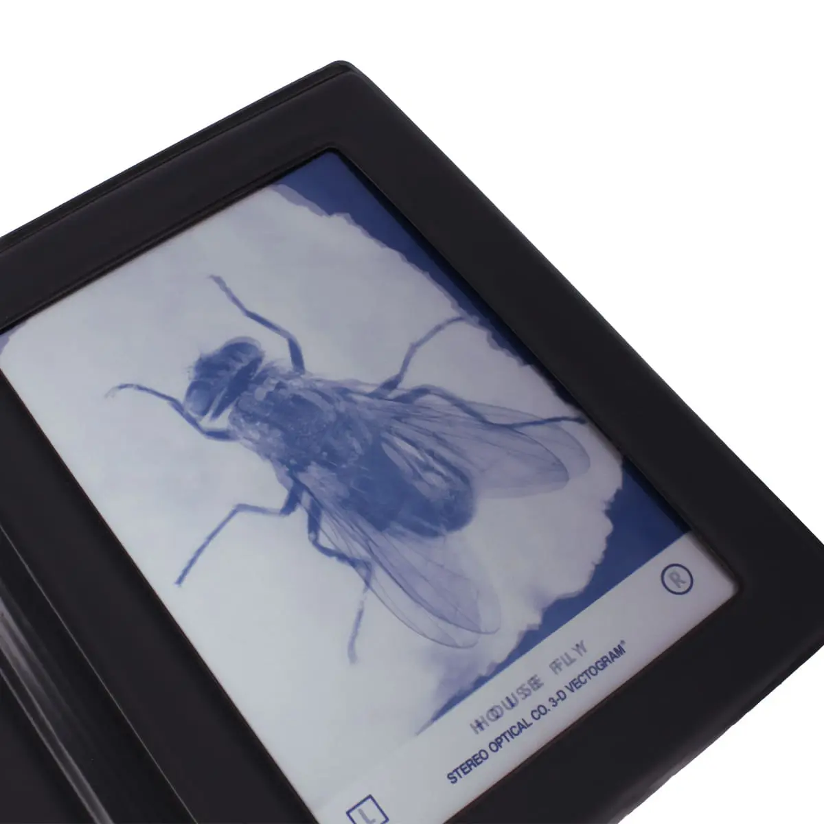  LEA stereo fly test