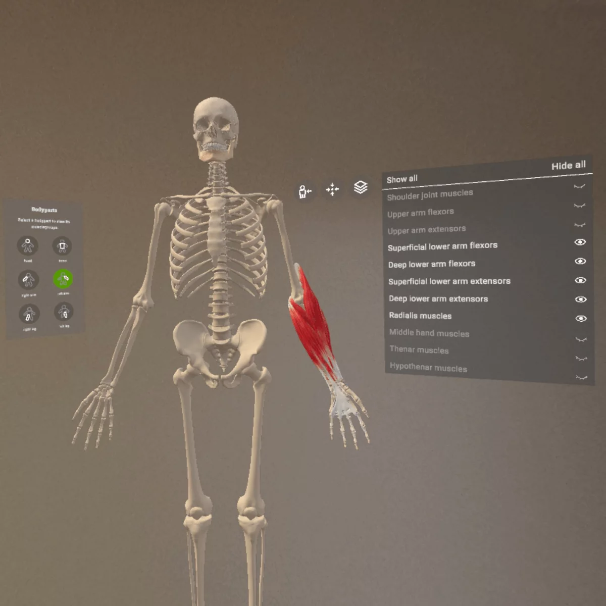“Corpus” mixed reality anatomy app for Meta Quest 3/3S “Corpus” mixed reality anatomy app for Meta Quest 3/3S