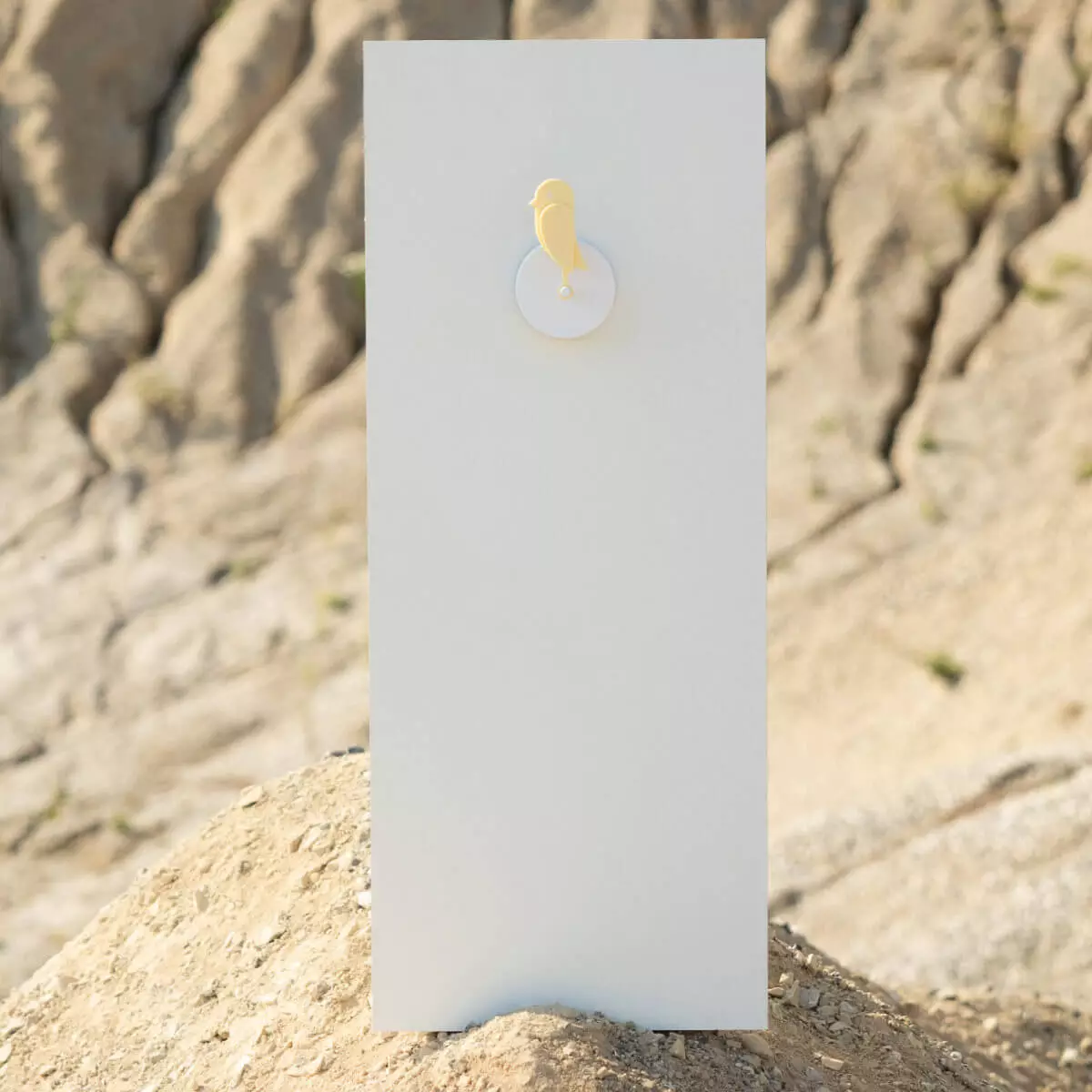  Birdie 2.0 air quality sensor