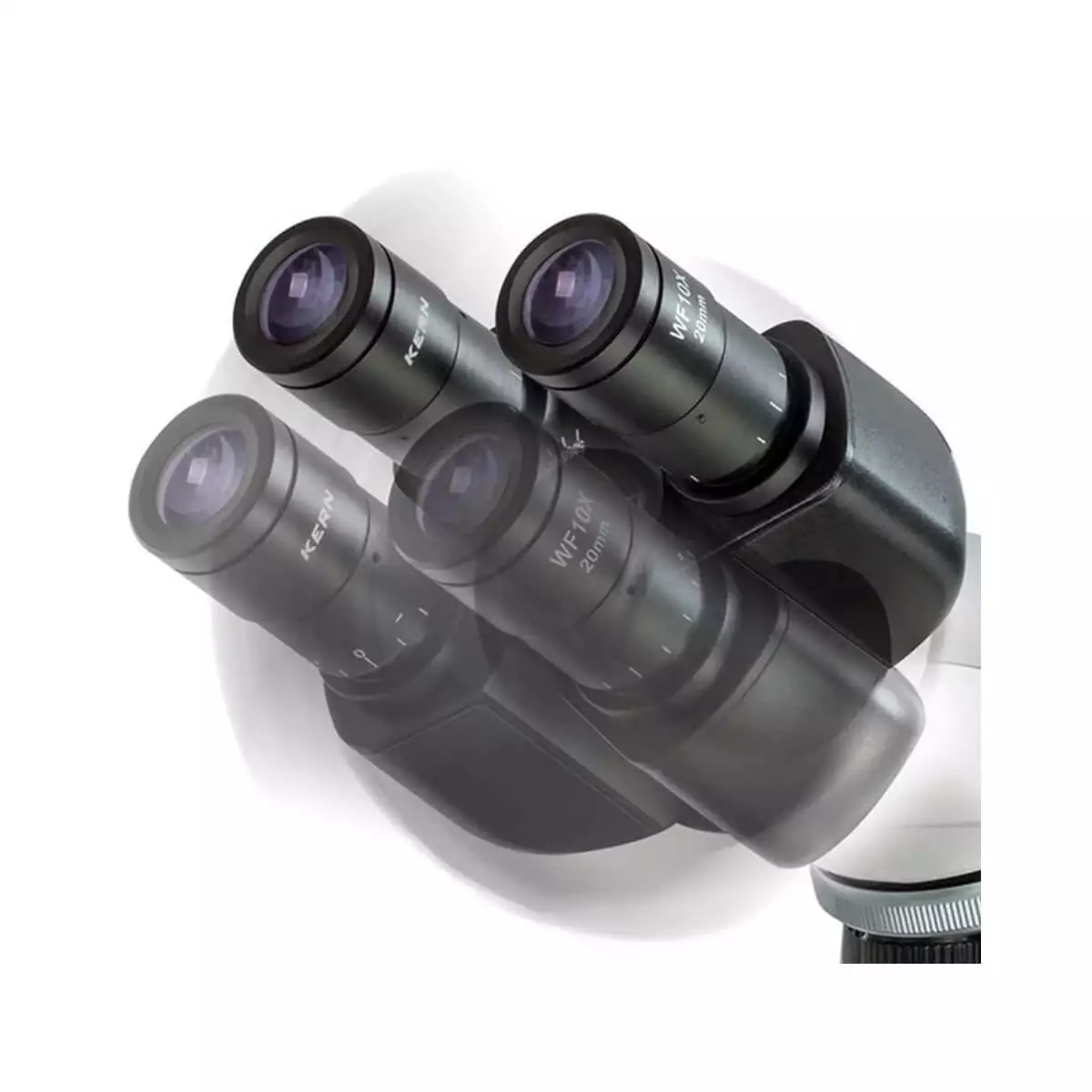  OBL 156 Phase contrast microscope trinocular
