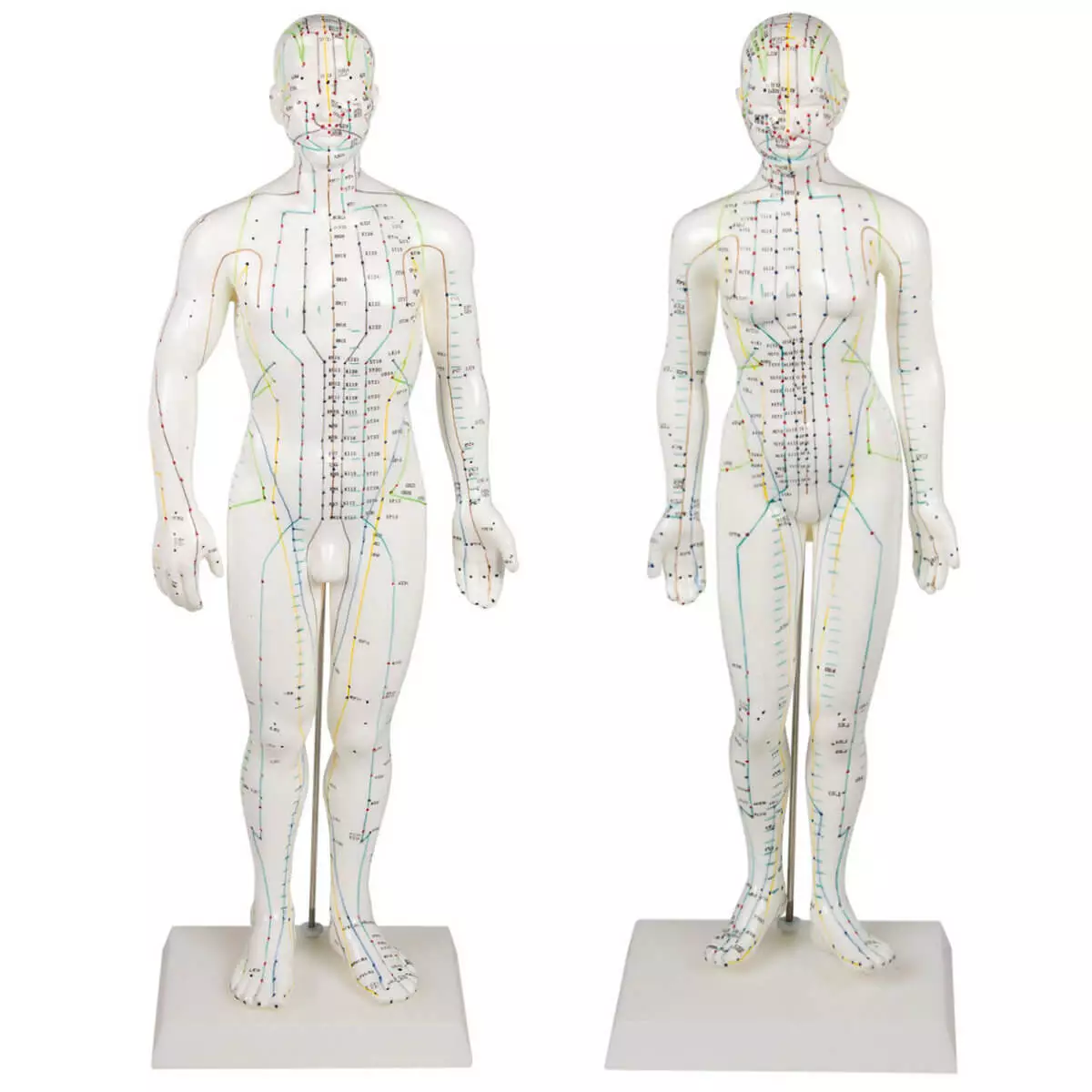  Acupuncture figure