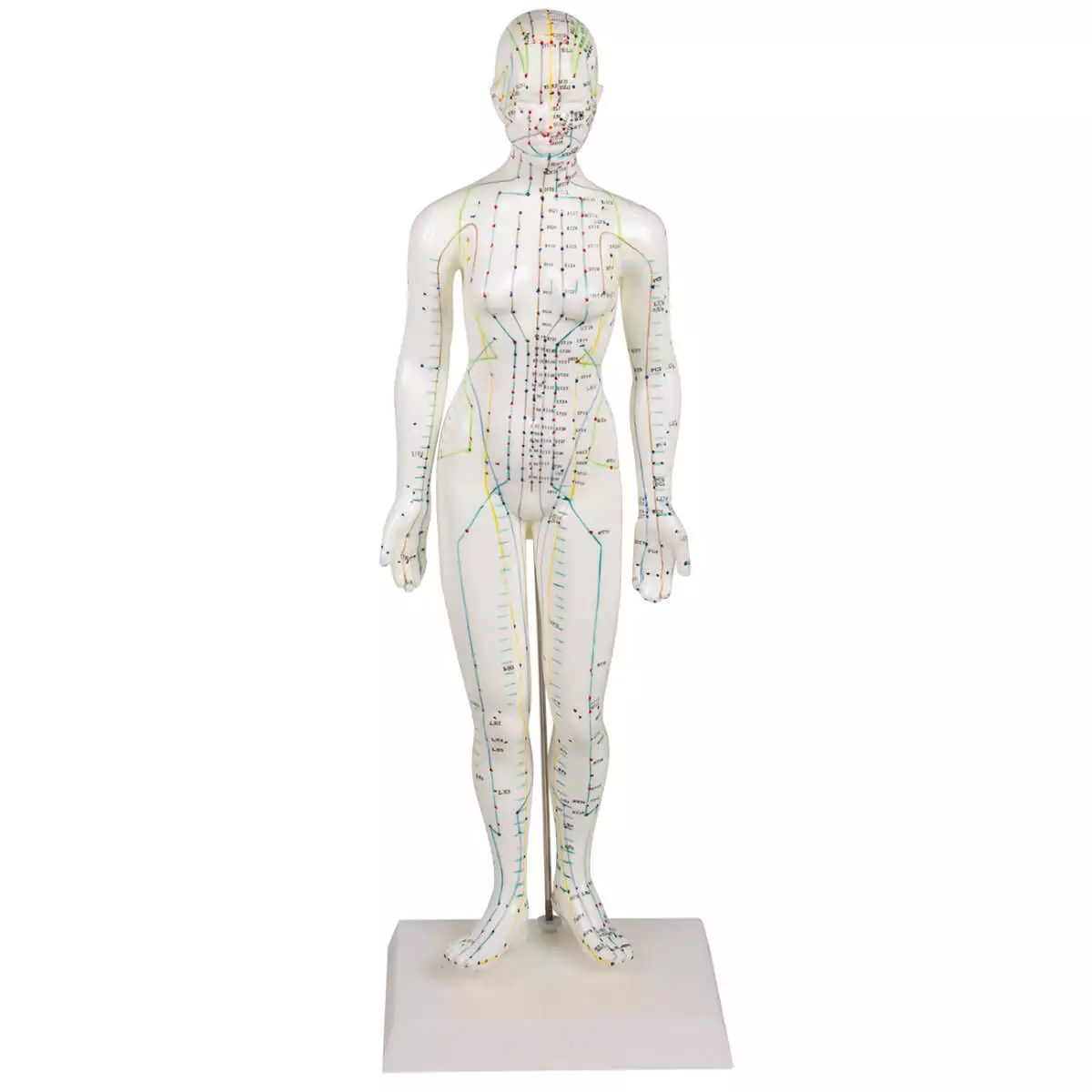  Acupuncture figure