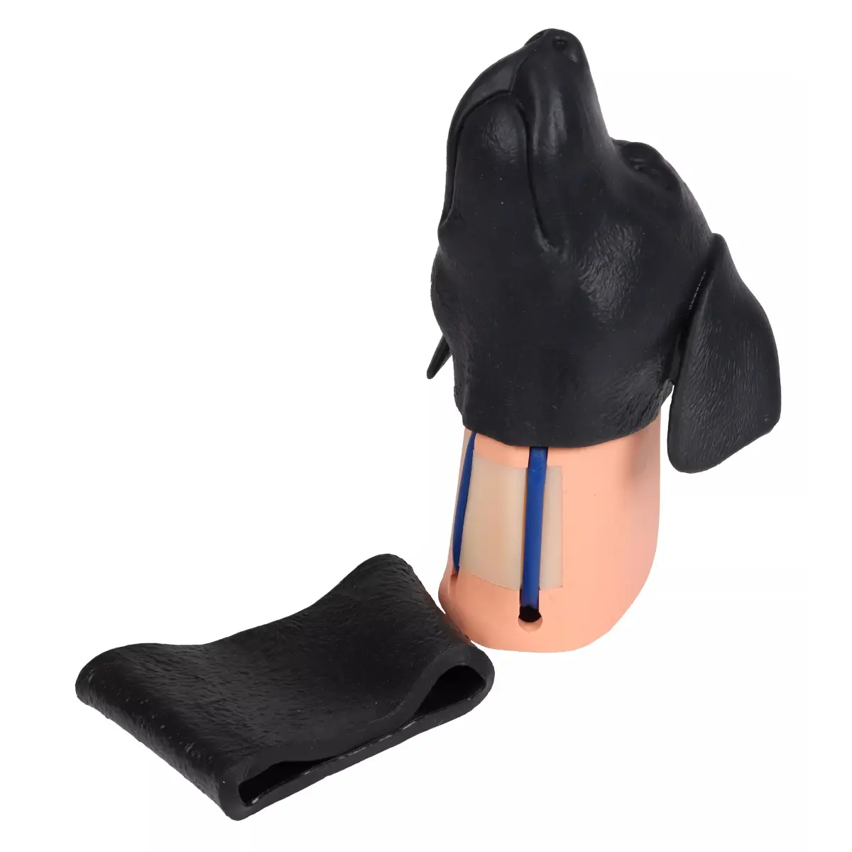 Jugular vein puncture head – dog Jugular vein puncture head – dog