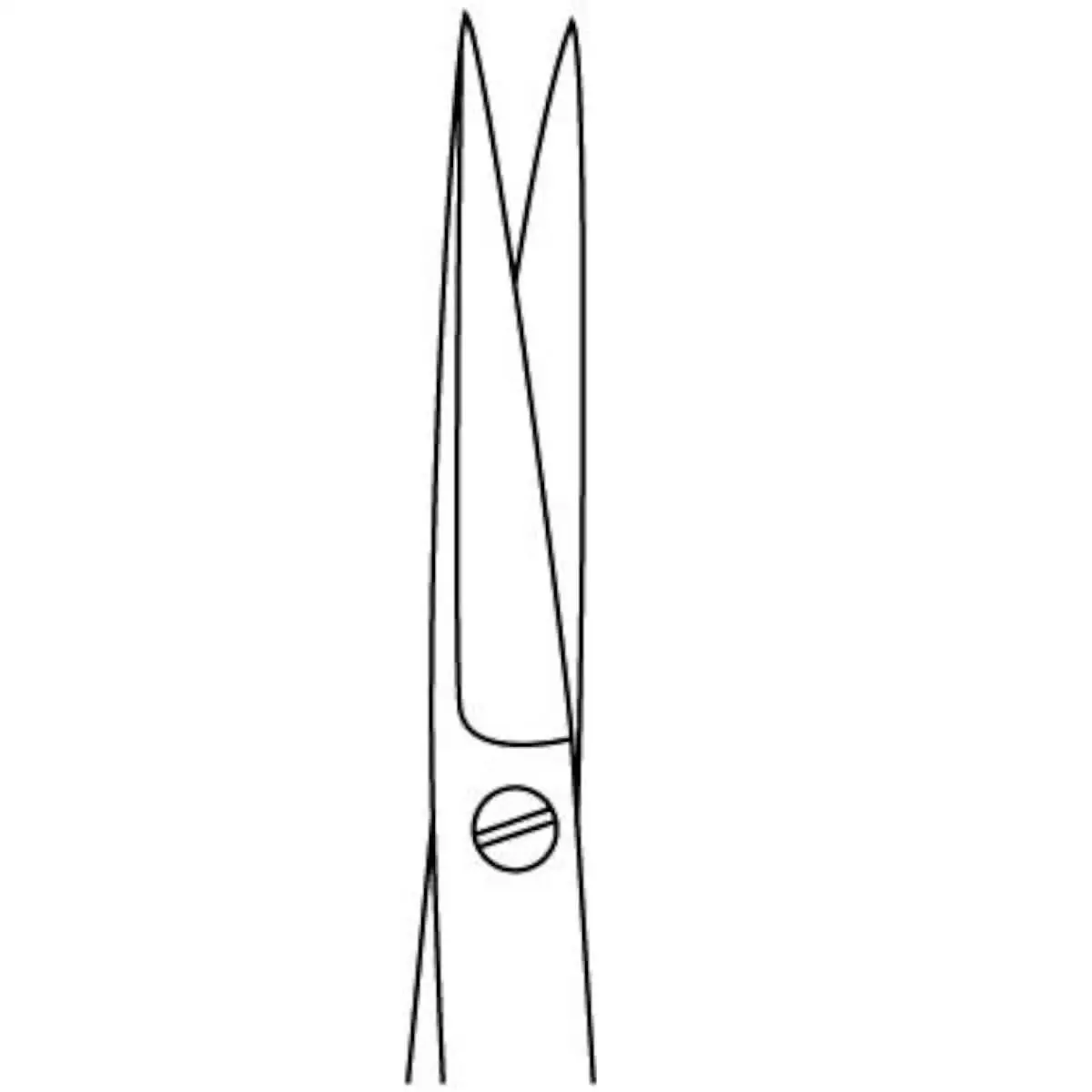 Surgical scissors pointed/pointed  Surgical scissors pointed/pointed