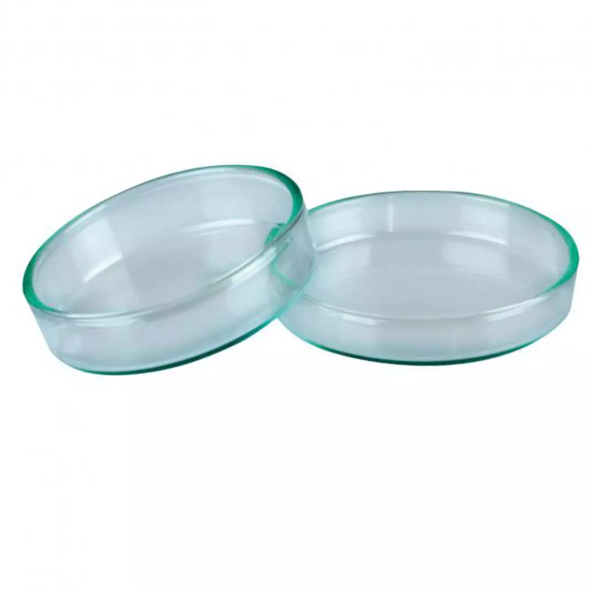  Petri dish with lid