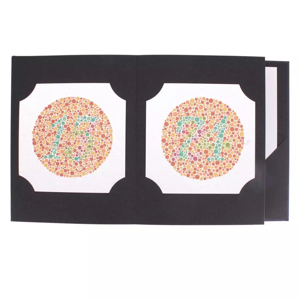 Ishihara color plates Ishihara color plates