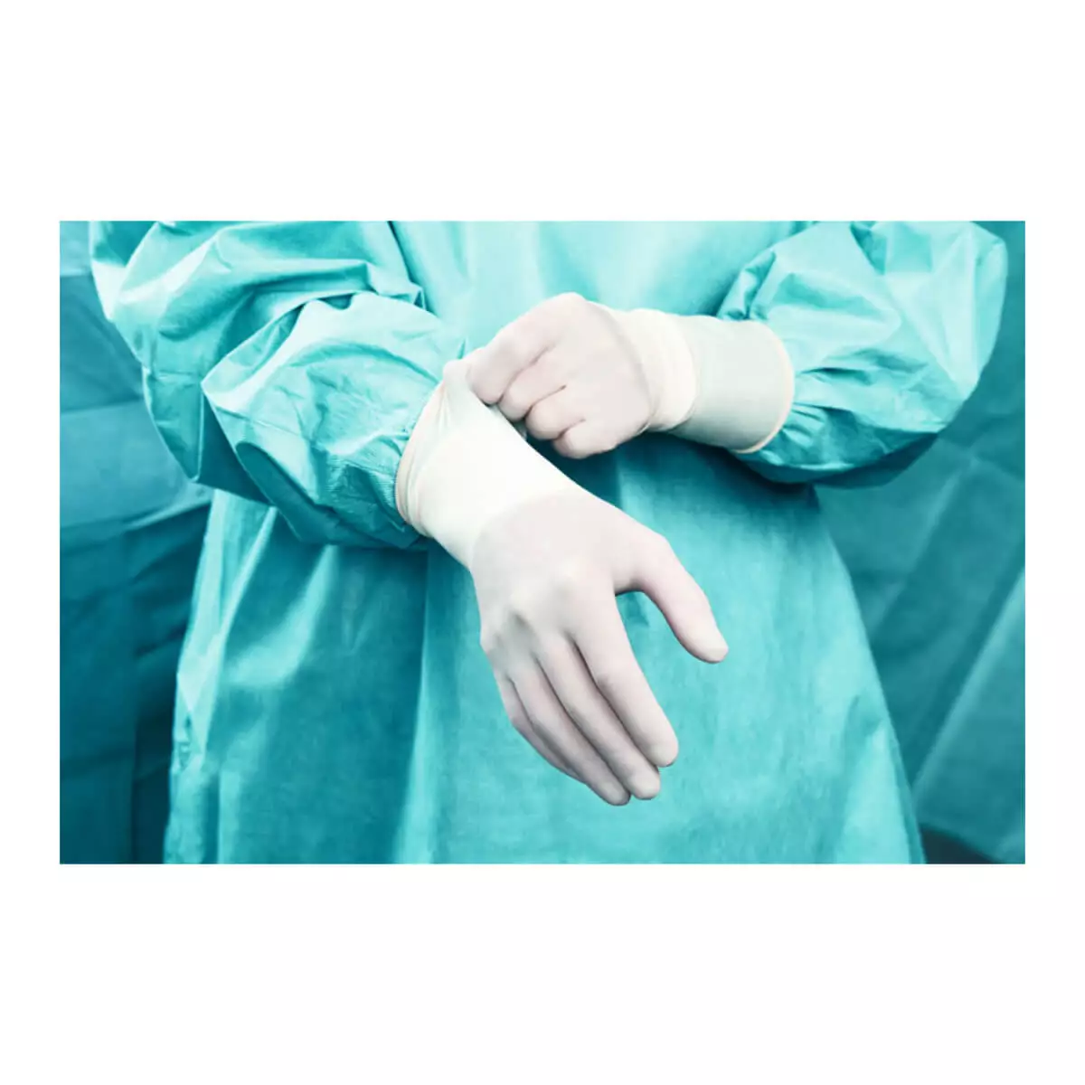  Peha-basic latex surgical gloves