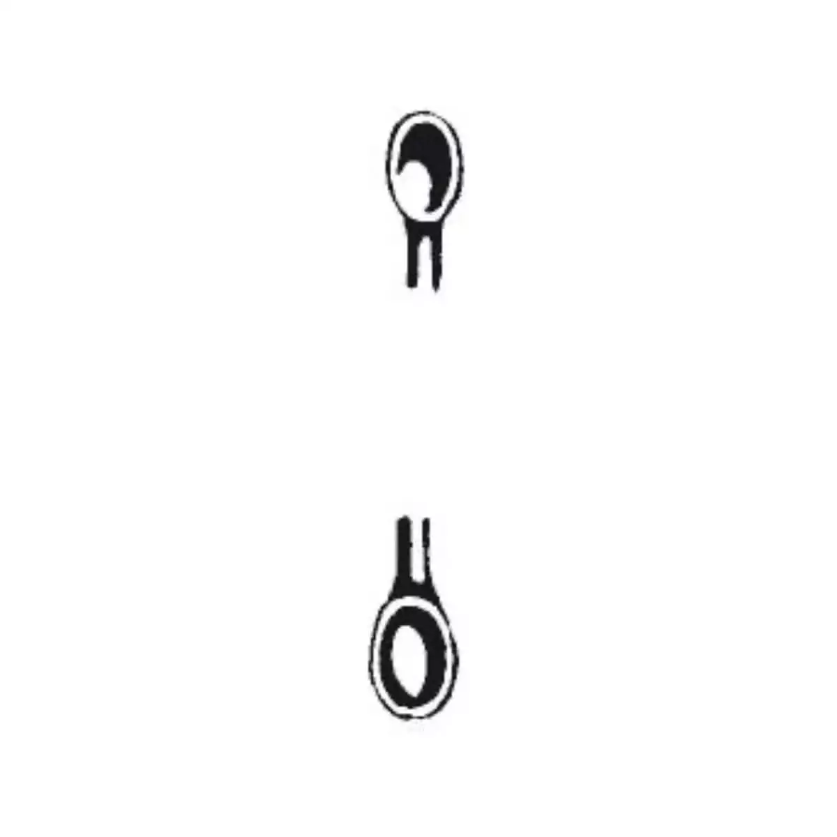  Sharp Double-Spoon