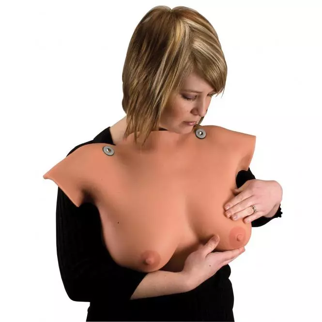  Breast palpation model
