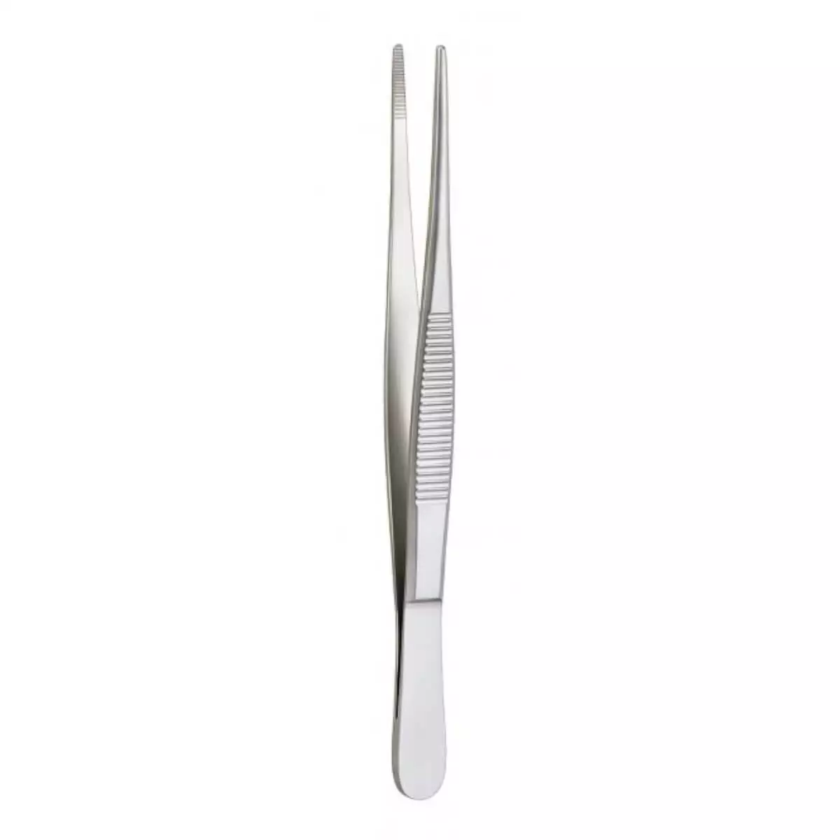  Anatomic Forceps