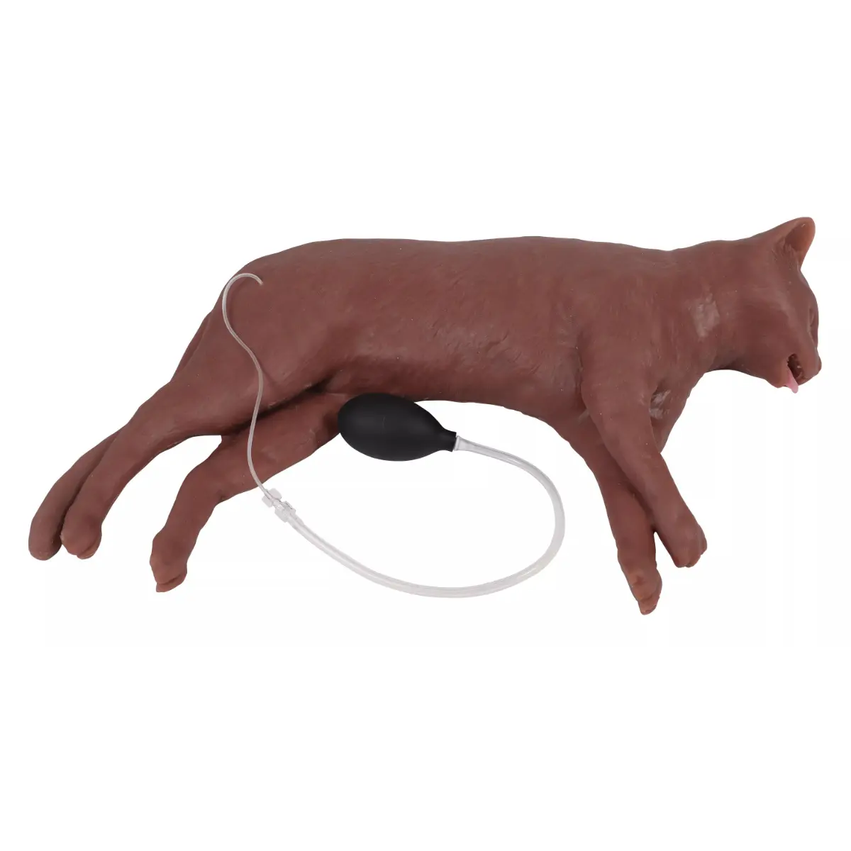 “CaPpeR” feline CPR training manikin “CaPpeR” feline CPR training manikin