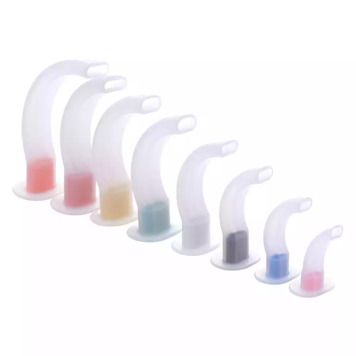 Basic / Basic plus pack