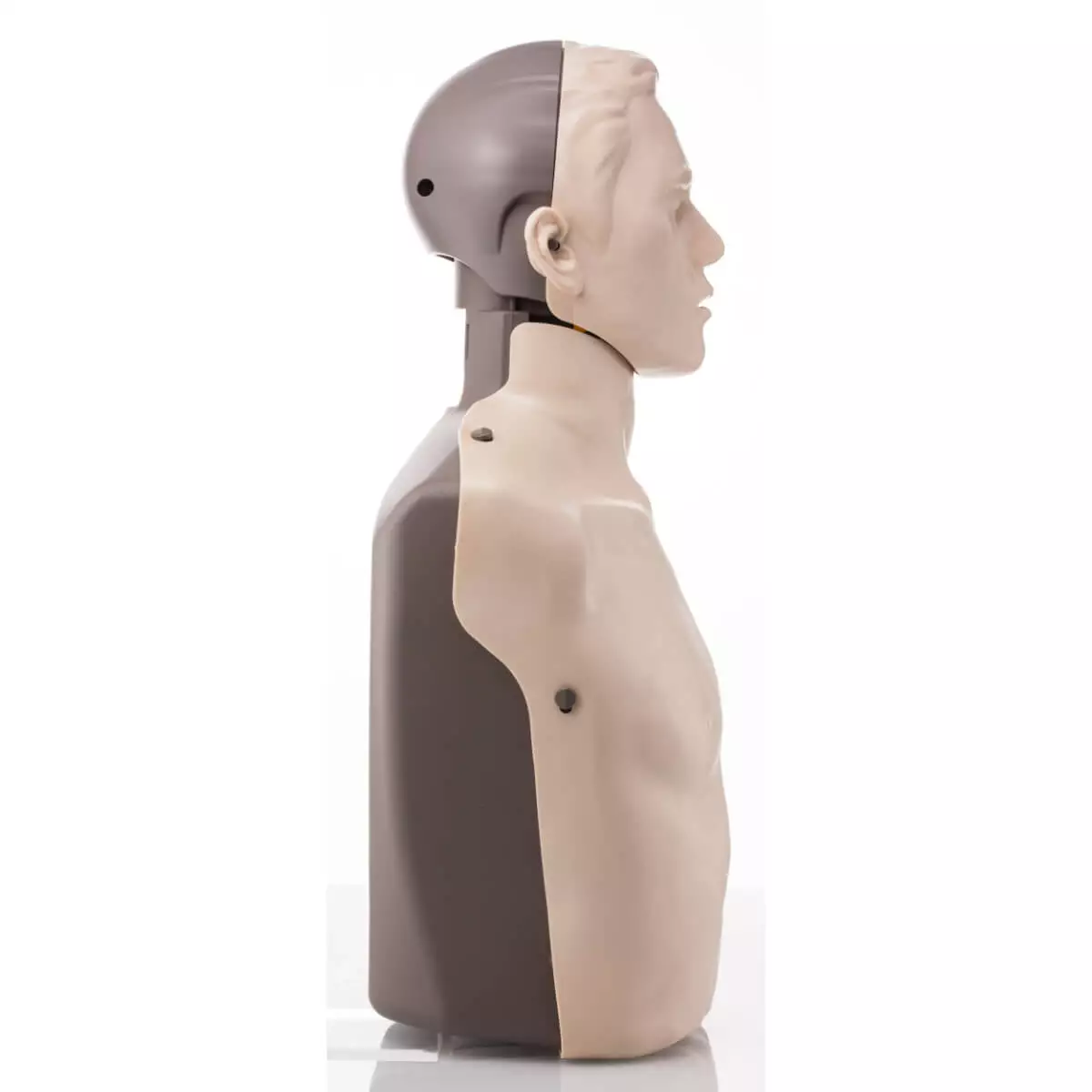  BRAYDEN CPR training manikin Basic