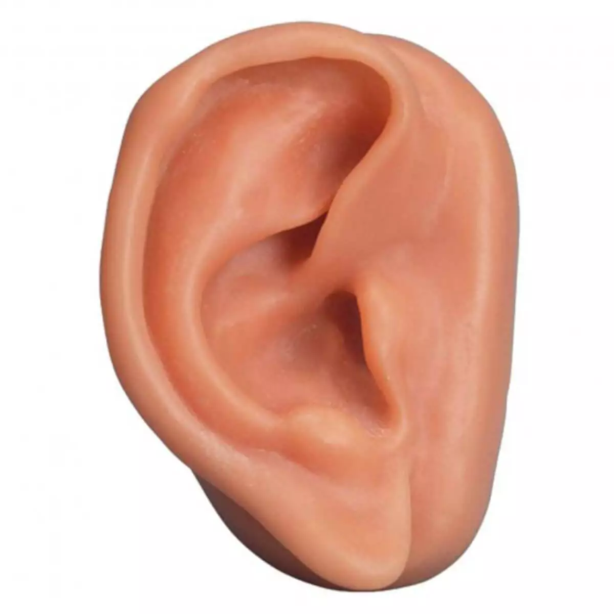  Acupuncture-Ear
