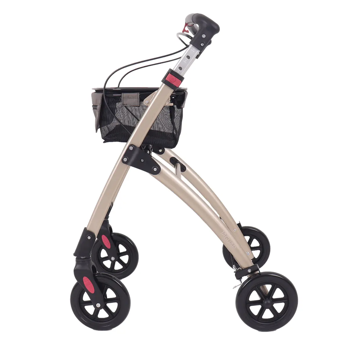 Jaguar indoor walker Jaguar indoor walker