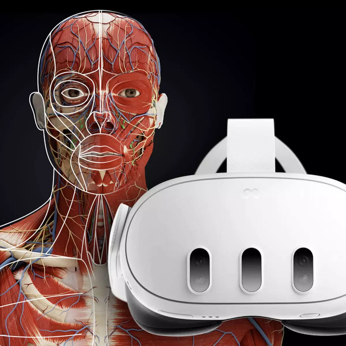 “Corpus” mixed reality anatomy app for Meta Quest 3/3S “Corpus” mixed reality anatomy app for Meta Quest 3/3S