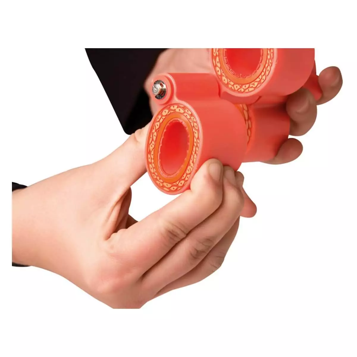  Arteriosclerosis model