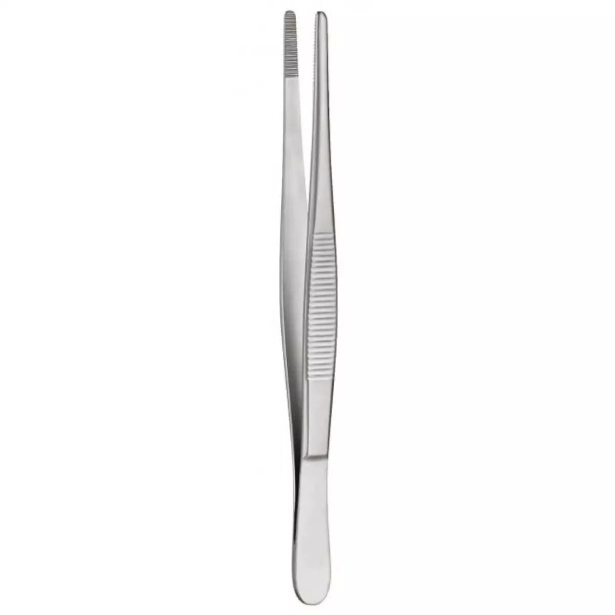  Anatomic Forceps