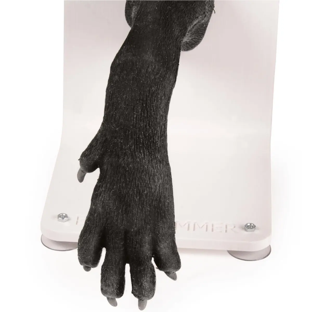 Bandaging trainer – dog paw Bandaging trainer – dog paw