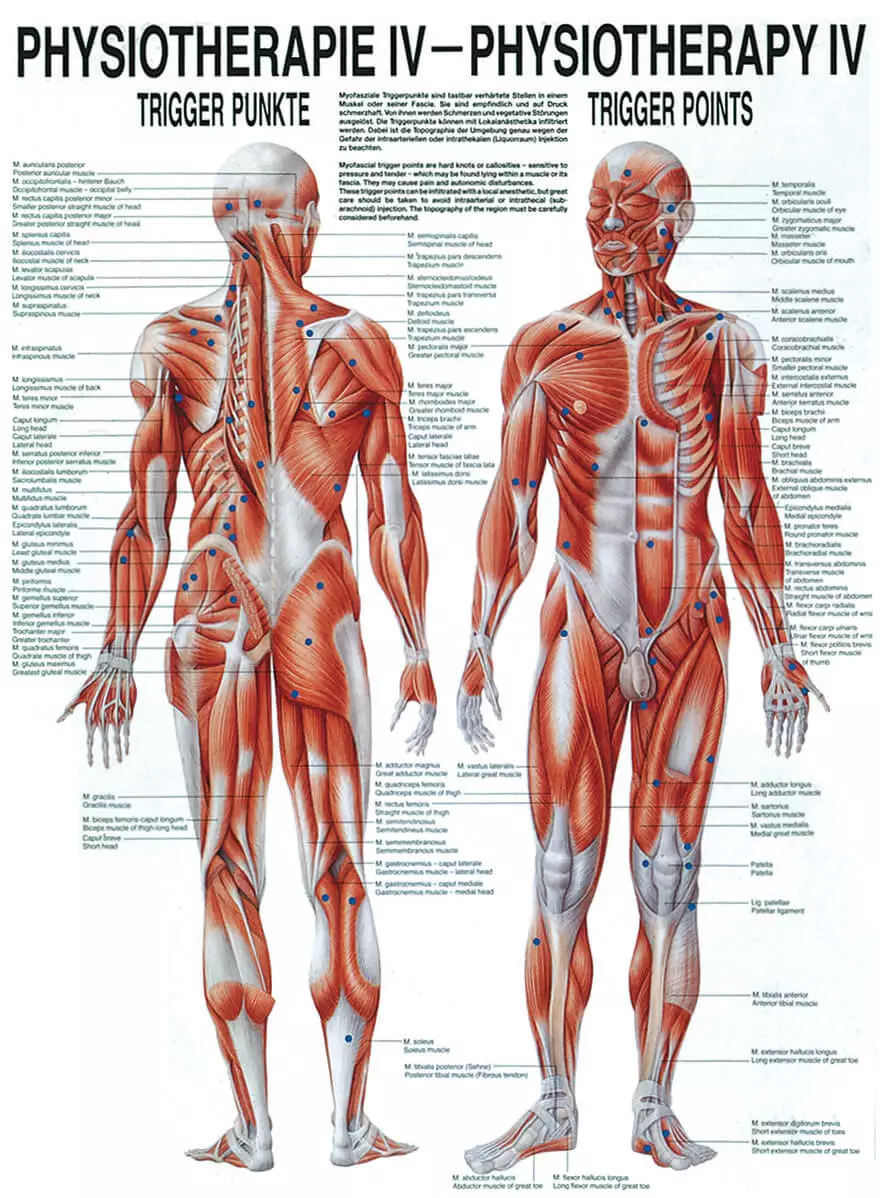  Tutorial board - Trigger points
