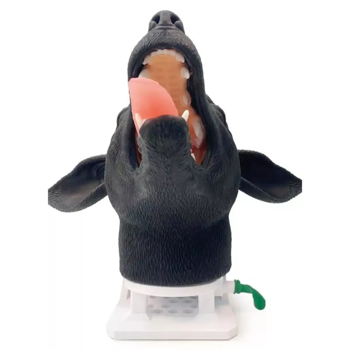  Intubation practicing head – dog