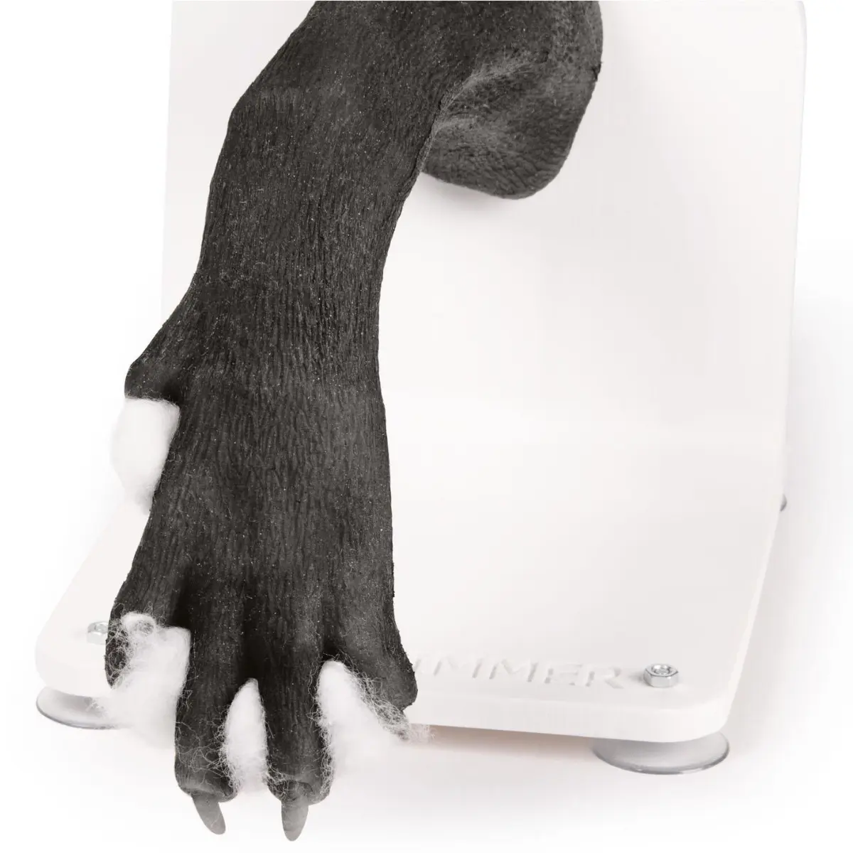 Bandaging trainer – dog paw Bandaging trainer – dog paw