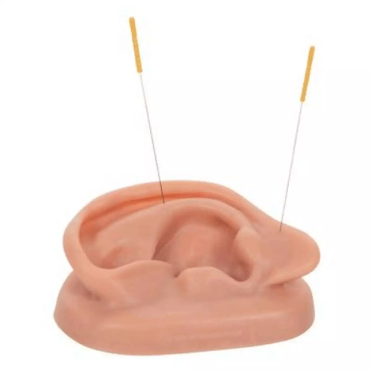  Acupuncture-Ear